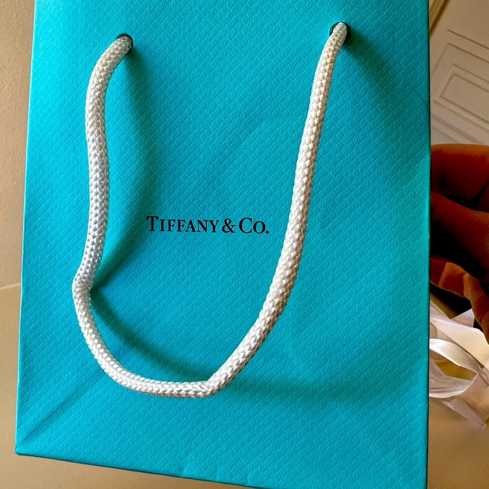 Tiffany & Co. Bag